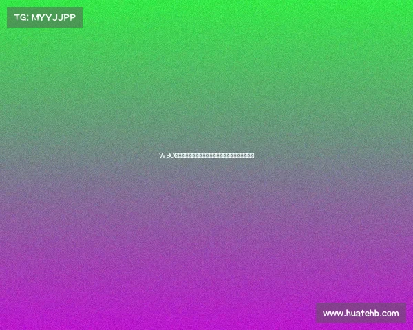 WBO中国区拳击巅峰对决火热启动荣耀之战闪耀中华拳坛